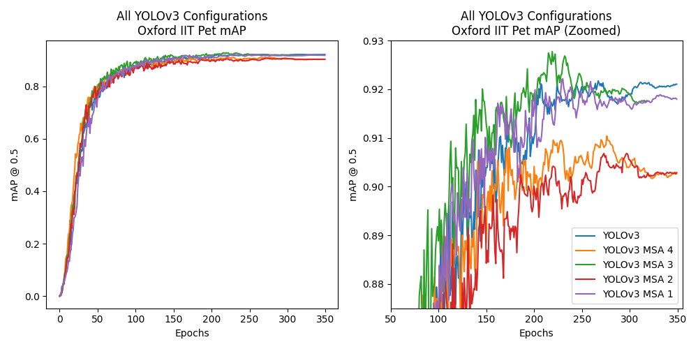 Graph showing mAP scores of all the networks trained on the Oxford IIT Pet dataset.